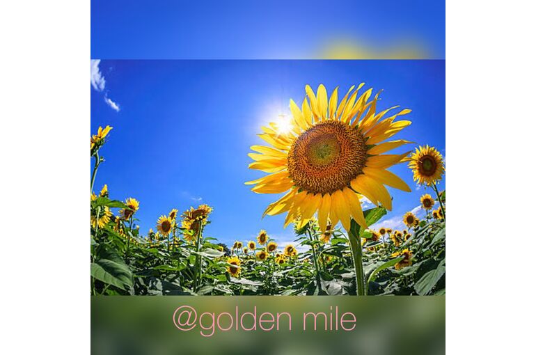 E60038CD-17C3-4A42-80A6-D365A9F0EA7B
